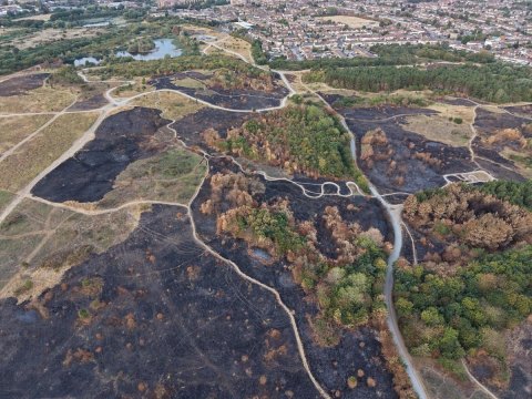 Aerial photo of blackened, burnt fields