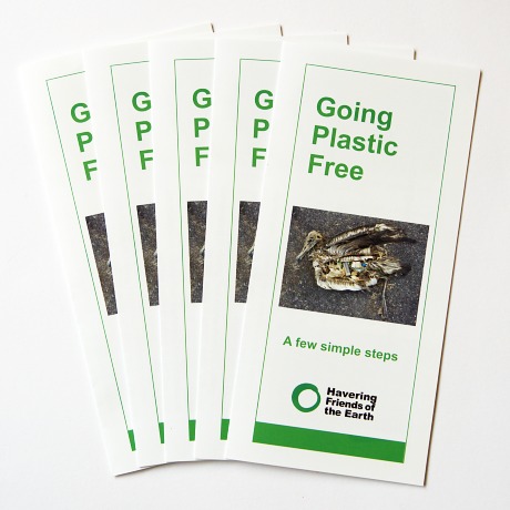 [Five leaflets]