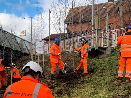 [Tree planting at Emerson Park station]